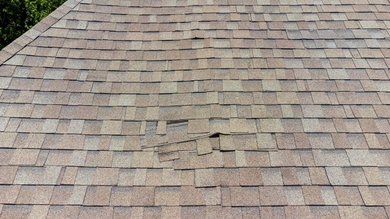 Asphalt Roof Inspection in Elizabeth, PA