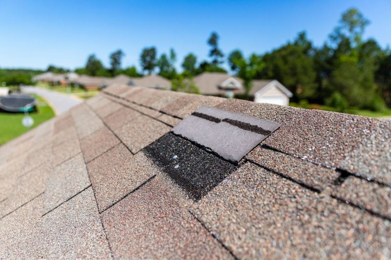 Asphalt Roof Leak Repair in Elizabeth, PA