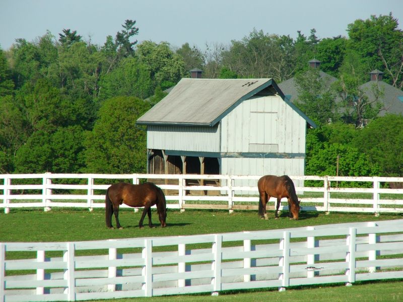Barn Roof Construction in Westmoreland County, PA