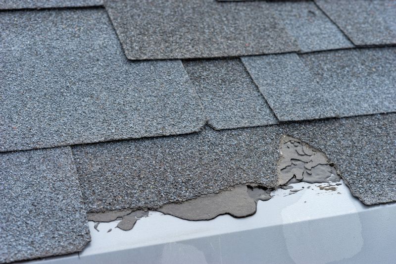 Damaged Roof Repair in Elizabeth, PA