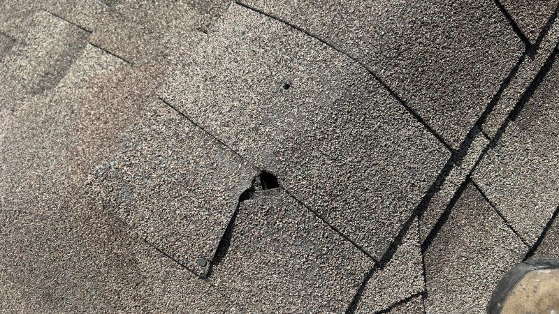 Damaged Roof Repair in Latrobe, PA
