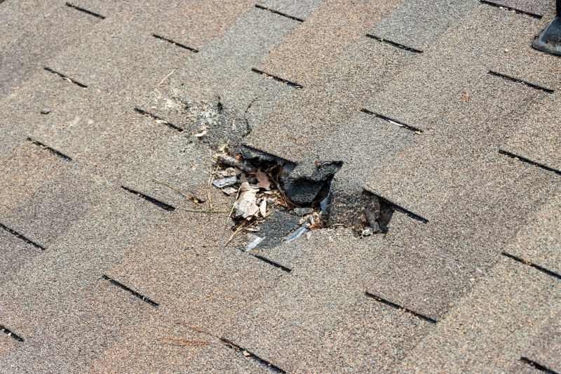 Damaged Roof Replacement in Jones Mills, PA