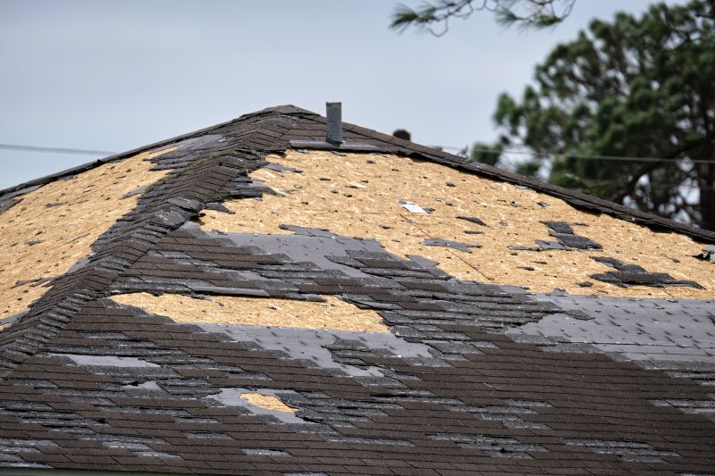 Roof Damage Restoration in Elizabeth, PA